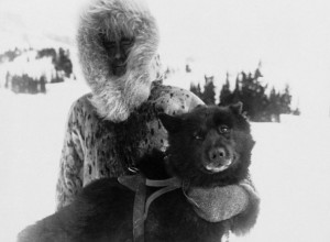 Болто — хаски, спасший город Ноум от эпидемии дифтерии в 1925 году