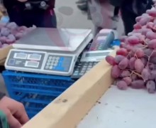 В Петербурге пресекли незаконную уличную торговлю фруктами