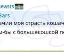 В Черногории депортируют экс сотрудника ФБК, обвиняемого в жестоком обращении с животными