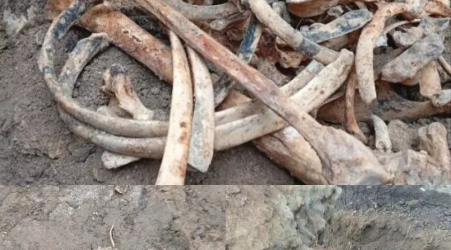 В Тирасполе найдено предполагаемое захоронение времён Великой Отечественной