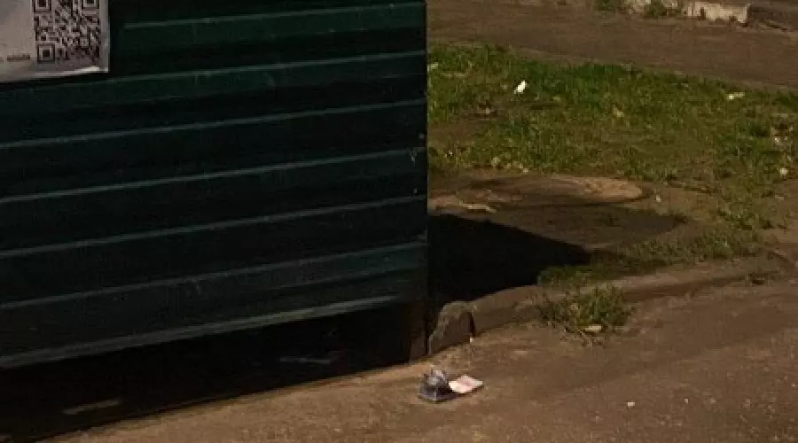 В Подмосковье обезвредили взрывное устройство, замаскированное под пачку денег